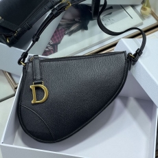 Dior Saddle Bags